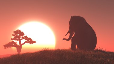 Silhouette fil ve ağaç 