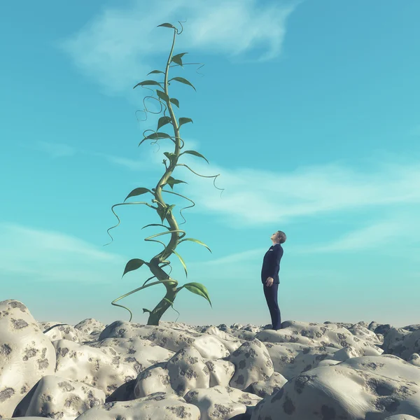 Man admiring a big beanstalk. — Stock Photo, Image