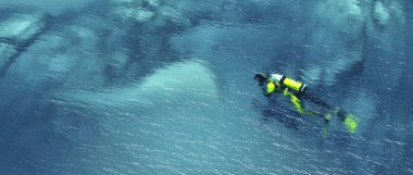 Sualtı tropikal bir denizde Yüzme adam