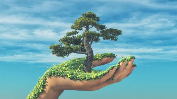 Ręka trzymająca drzewo — Zdjęcie stockowe