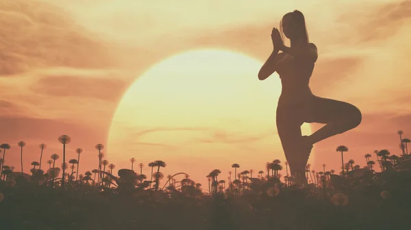 Silhouette di una ragazza che fa yoga — Foto Stock