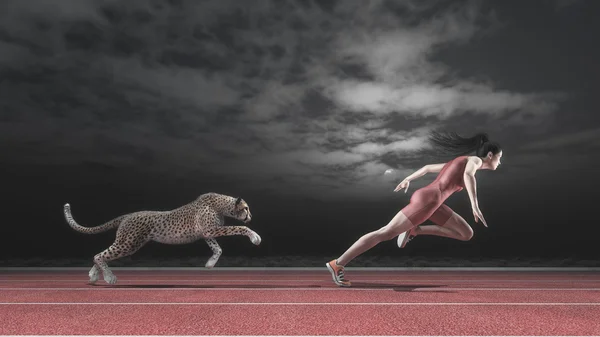 Athlete woman competing with a cheetah — Stock Photo, Image