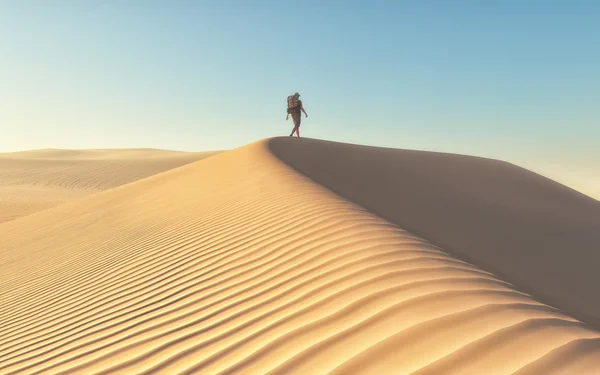 男子沙漠探险 — 图库照片