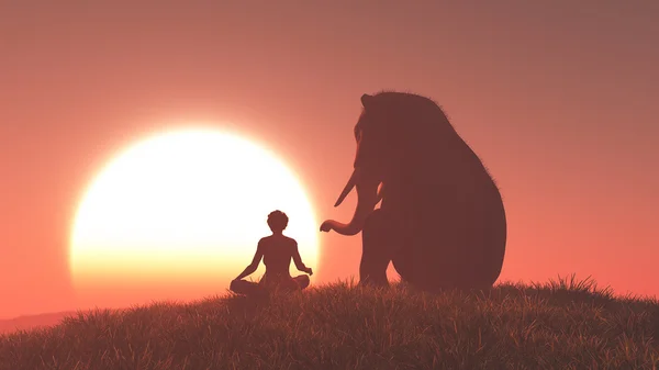 Sillouthe elefante y mujer — Foto de Stock