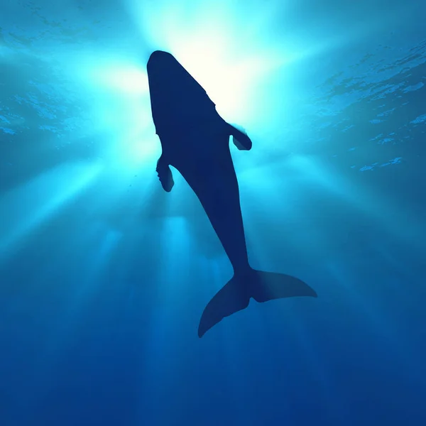 Escena submarina de ballena profunda — Foto de Stock