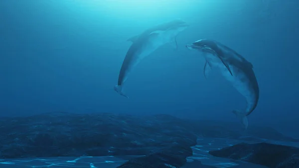 Прекрасные дельфины — стоковое фото