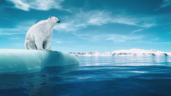 L'orso polare — Foto Stock