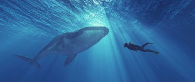 Dalgıç yakınındaki bir balina tehlikede