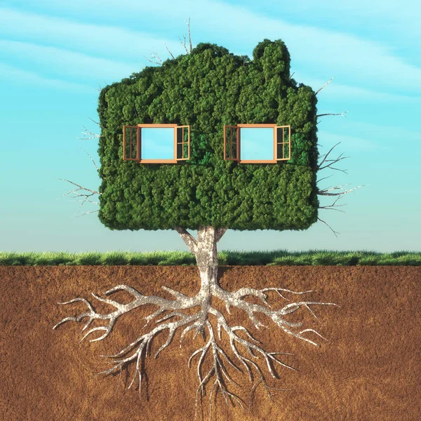 ต้นไม้เขียวรูปบ้าน — ภาพถ่ายสต็อก