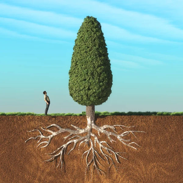 A man look up a big tree — Stock Photo, Image