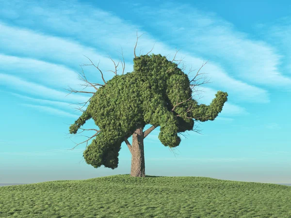 Ein grüner Baum in Pfeilform — Stockfoto