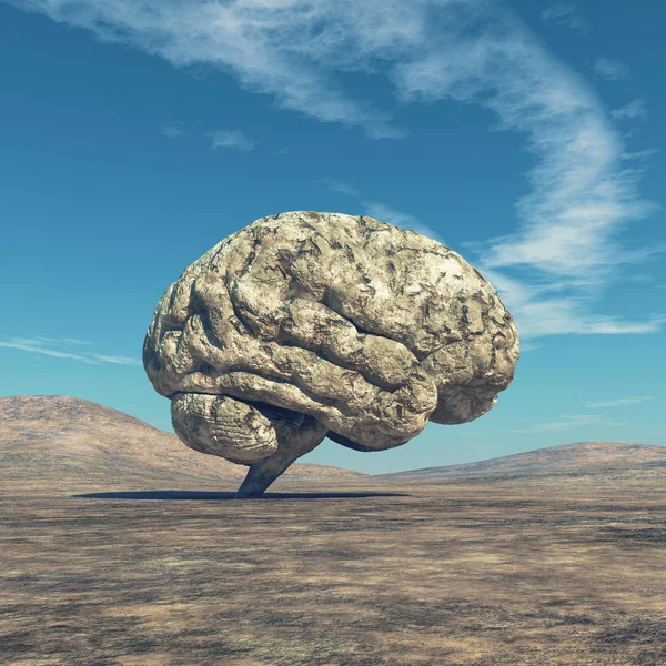Den mänskliga hjärnan. — Stockfoto