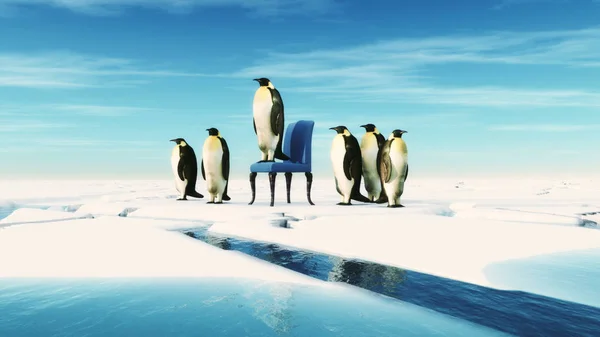 Pingvin ledare sitter på en stol — Stockfoto