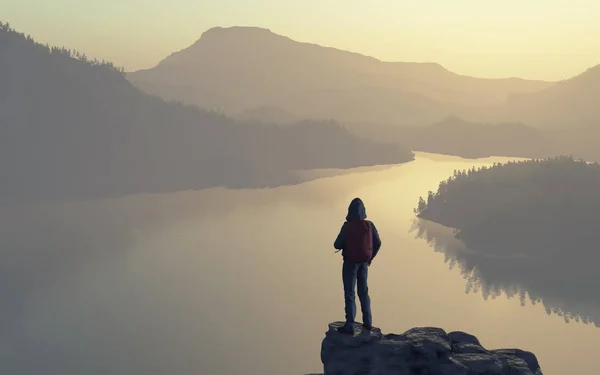 Um homem olha sobre o topo do lago de montanha e da floresta . — Fotografia de Stock