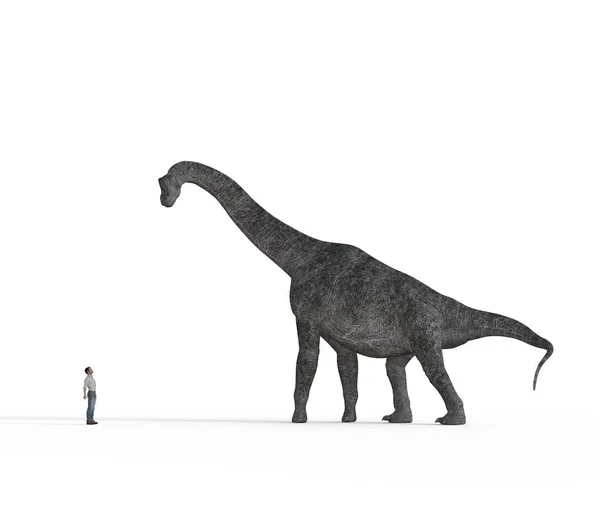 Small man face to face with big brachiosaurus dinosaurs — Stock Photo, Image