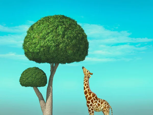 长颈鹿树的概念 — 图库照片