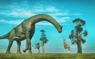 Zürafa brachiosaurus 'a karşı.