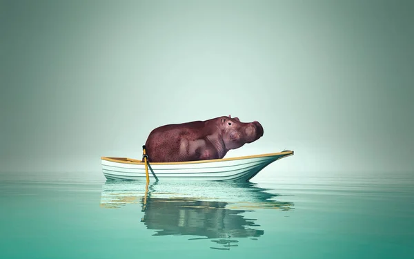Hipopotam w łodzi — Zdjęcie stockowe