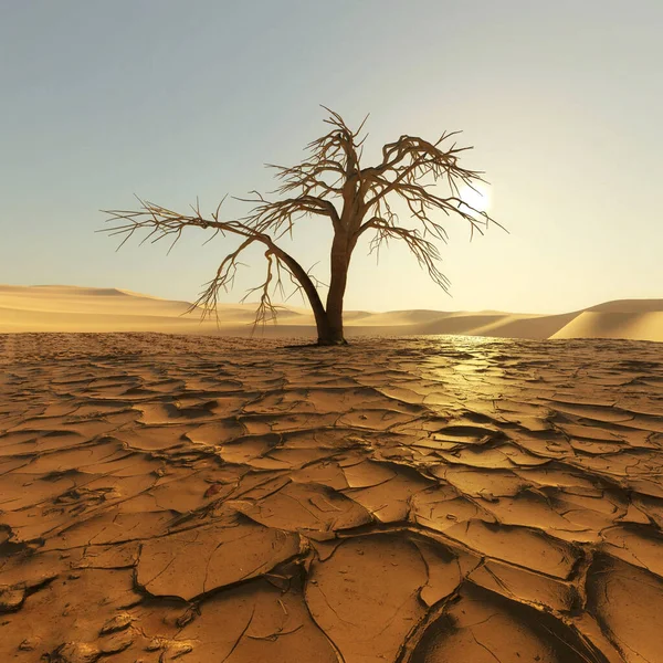 干旱中孤独的枯树在沙漠景观中开裂了 全球变暖概念 这是一个3D渲染说明 — 图库照片
