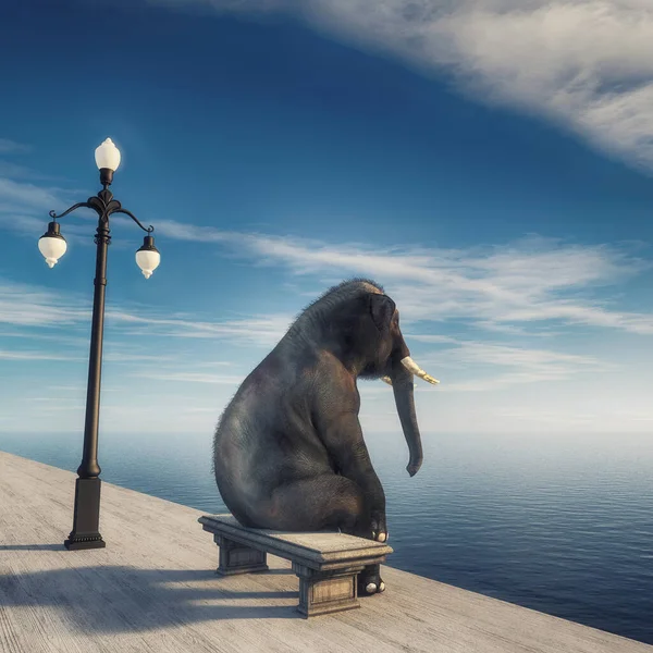 Słoń Siedzący Ławce Nad Morzem Podziwiający Widok Jest Ilustracja Renderowania — Zdjęcie stockowe