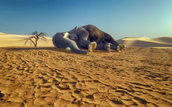 在干旱中奄奄一息的大象破坏了沙漠景观 全球变暖概念 这是一个3D渲染说明 — 图库照片