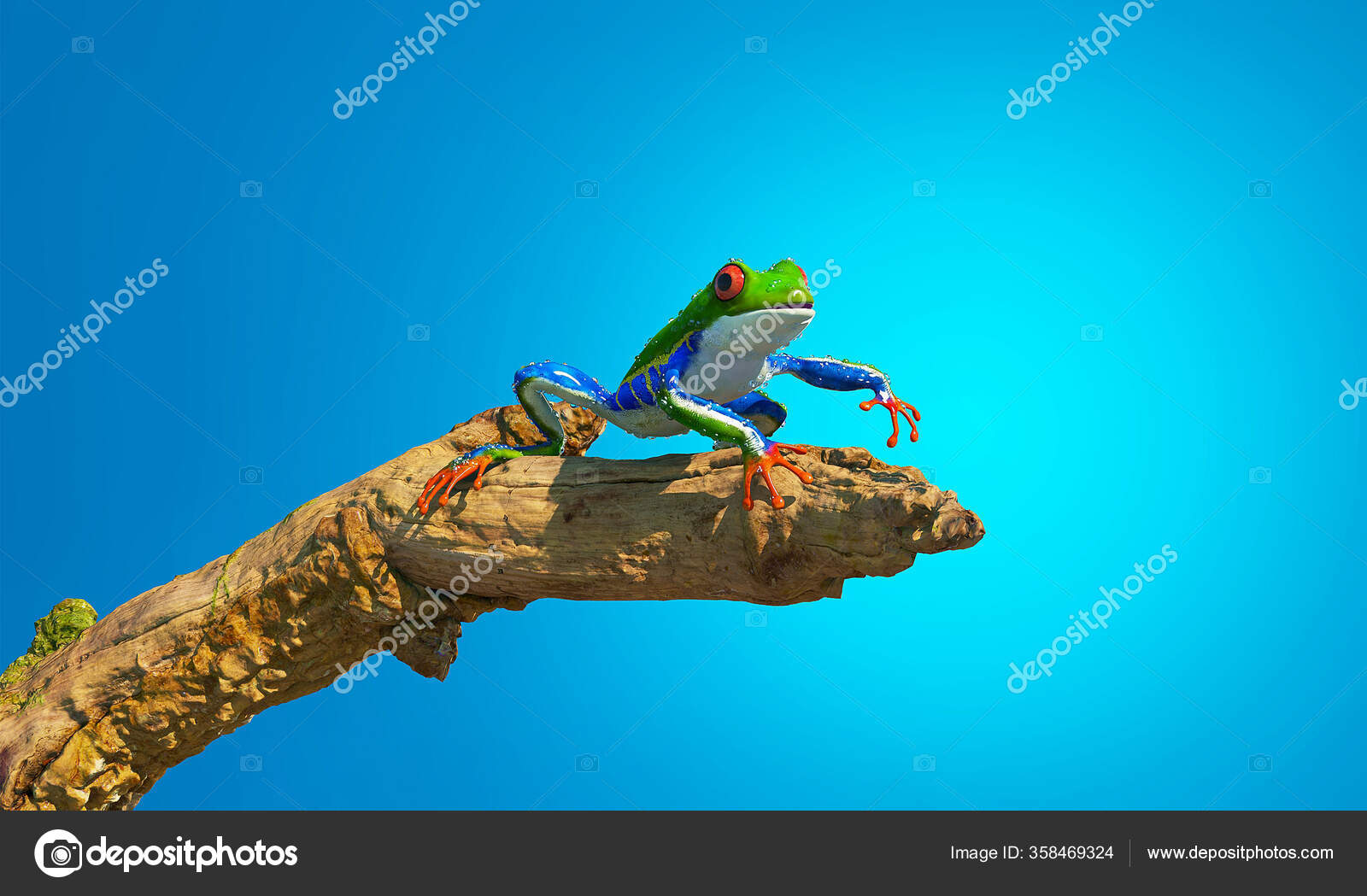 树枝上的绿色青蛙隔离着非蓝色的背景这是一个3d渲染说明 图库照片 C Orlaimagen