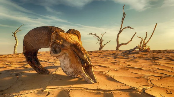 Animal Skull Dry Land Desert Landscape Render Illustration — Stock Photo, Image