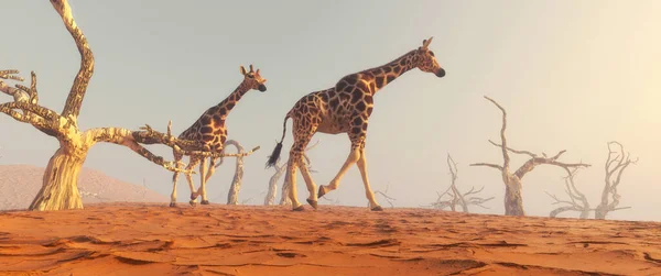 Due Giraffe Che Camminano Sul Deserto Terrestre Questa Illustrazione Rendering — Foto Stock