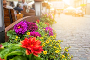 Çiçekler bir kafe yanında tencere