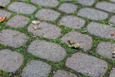 Granit taşlarla döşenmiş eski bir yol