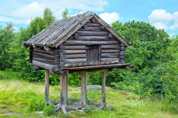 Tavuk budu İsveç parkta Skansen siper al — Stok fotoğraf