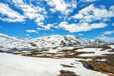 Norveç dağ manzarası