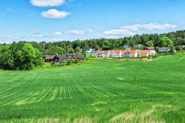 Orman tarafından çevrili tipik Norveç ev