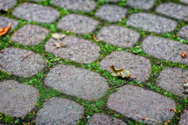 Granit küp Arnavut kaldırımlı kaldırım desen yaptı.