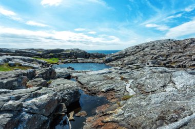 Kayalık taş manzara