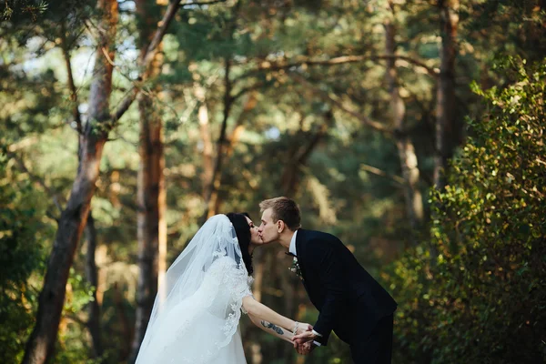Красива весільна пара цілується — стокове фото