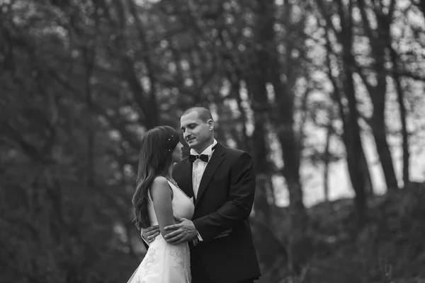 Novia feliz y novio posando en el bosque de otoño — Foto de Stock