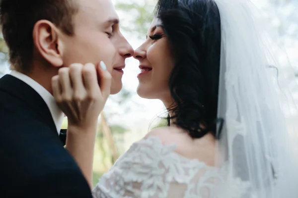 Casal de noivas perto um do outro — Fotografia de Stock