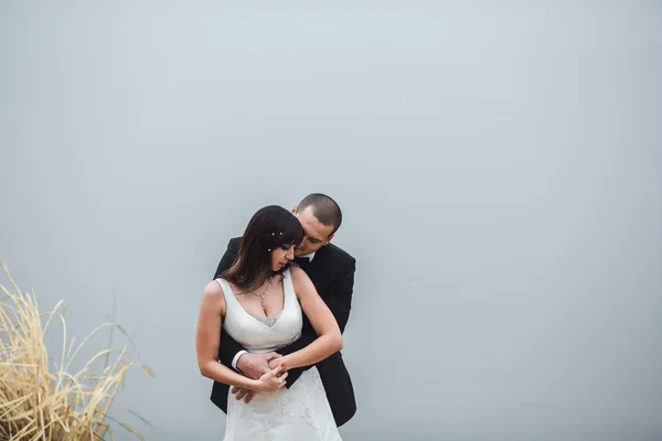 Bröllopsparet på sjöstranden — Stockfoto