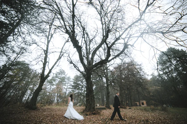 Щаслива наречена і наречений позує в осінньому лісі — стокове фото