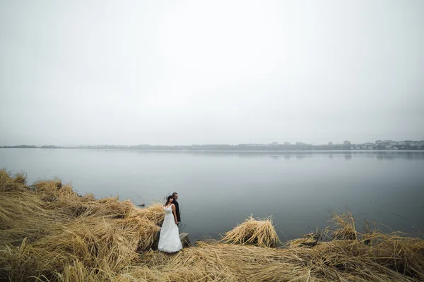 Весільна пара на березі озера — стокове фото