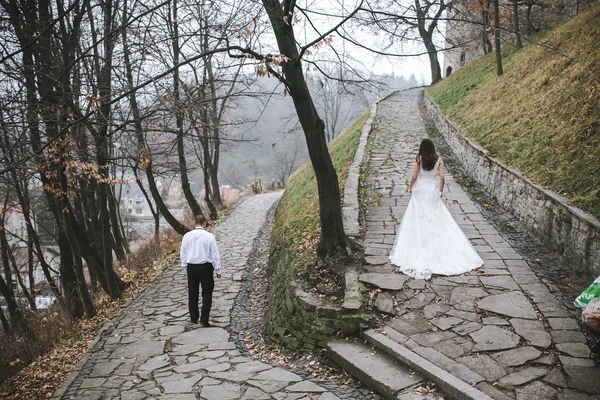 Lyckliga bruden och brudgummen poserar — Stockfoto