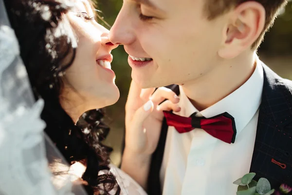 Casal de noivas perto um do outro — Fotografia de Stock