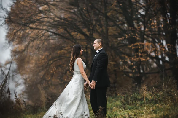 Heureux mariée et marié posant dans la forêt d'automne — Photo