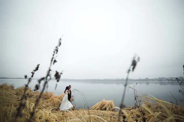 Свадебная пара на берегу озера — стоковое фото