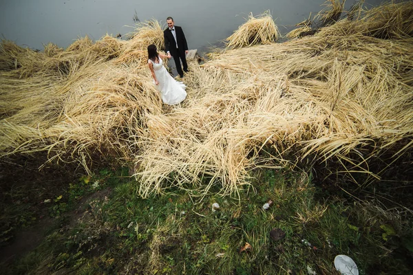Wedding couple at the lake shore — Stock Photo, Image