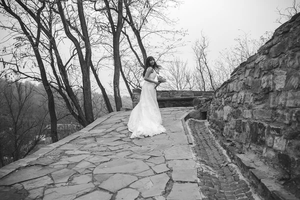 Young beautiful bride — Stock Photo, Image