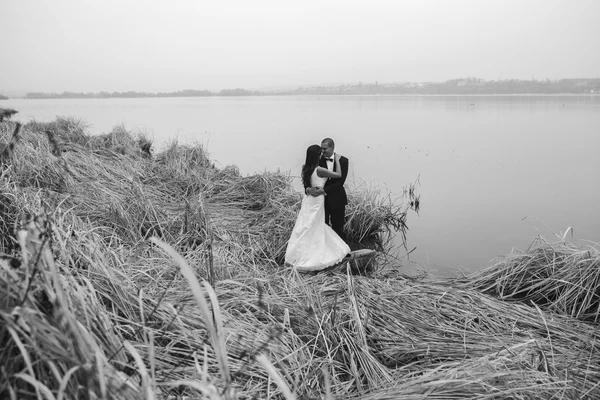 Casamento casal na margem do lago — Fotografia de Stock