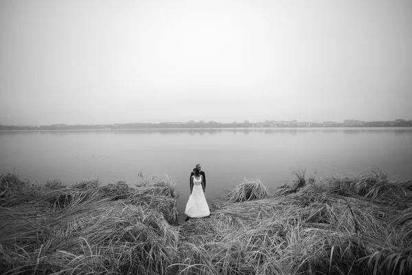 Pareja de boda en la orilla del lago — Foto de Stock
