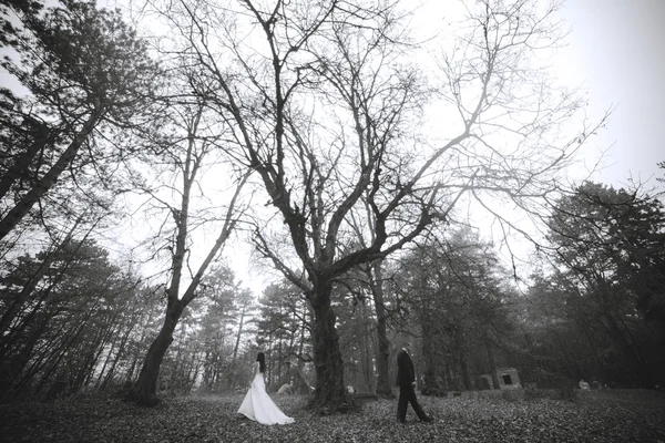 Happy bride and groom posing in the autumn forest — Stock Photo, Image